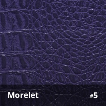 Morelet 5